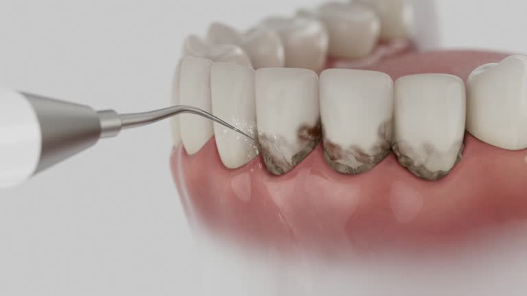 Reliable Dental contractor in Conrad, MT by Dentist Open Now
